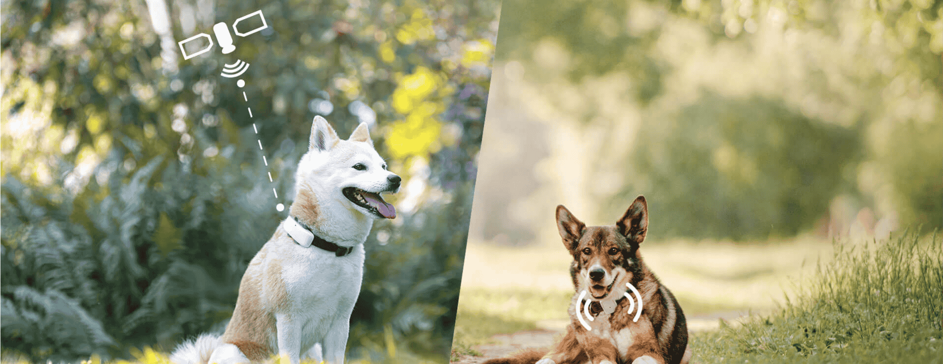 Custom Pet Tracker – Advanced Location & Health Monitoring with IoT
