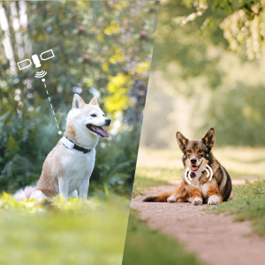 Custom Pet Tracker – Advanced Location & Health Monitoring with IoT