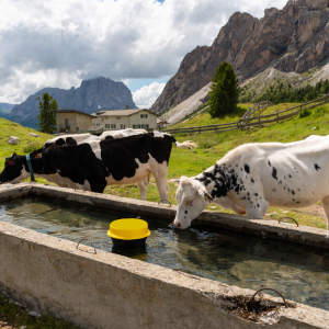 Smart Water - Level Monitoring System